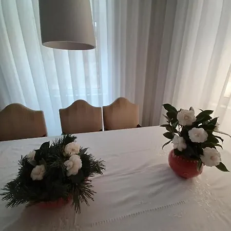 O 21 Da Casa de Férias Seia